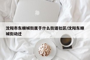 沈阳市东顺城街属于什么街道社区/沈阳东顺城街动迁