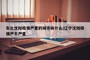 东北沈阳疫情严重的城市叫什么/辽宁沈阳疫情严不严重